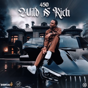 450  - Wild n Rich