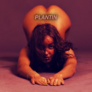 Plantin - 6T6