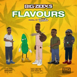 Big Zeeks - Flavours