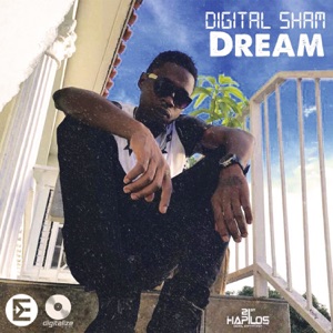 Digital Sham - Dream