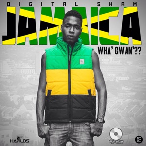 Digital Sham - Jamaica Wha Gwan