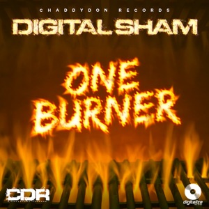 Digital Sham - One Burner