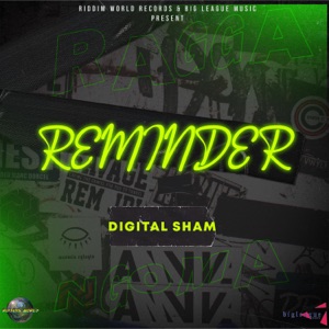 Digital Sham - Reminder
