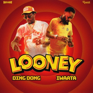 Ding Dong  - Looney