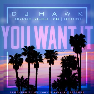 DJ Hawk - You Want It