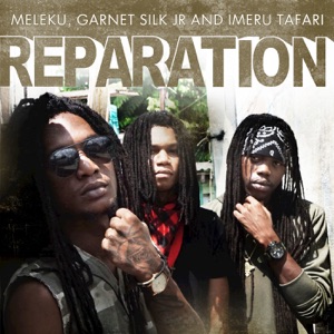 Garnet Silk Jr - Reparation