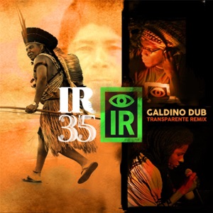 Indigenous Resistance - I R 35 Galdino Dub