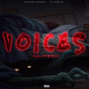 Najeeriii - Voices