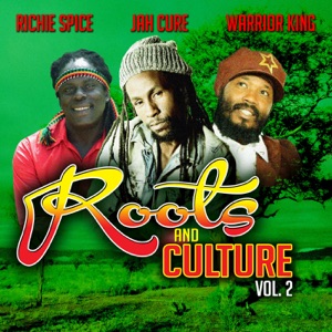 Richie Spice - Roots & Culture, Vol. 2