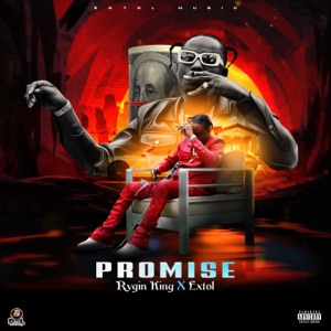 Rygin King  - Promise