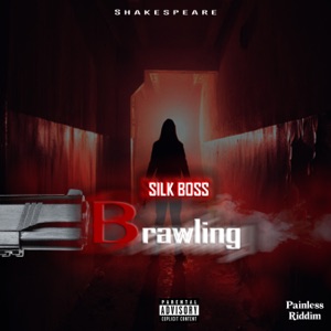 Silk Boss  - Brawling