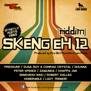 Various Artists - Skeng Eh 12 Riddim