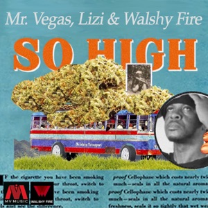 Walshy Fire - So High