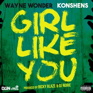 Girl Like You - Wayne Wonder