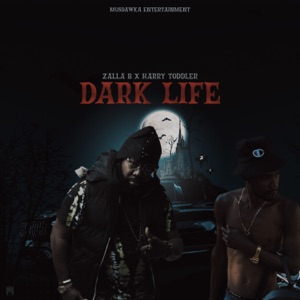 Zalla B  - Dark Life